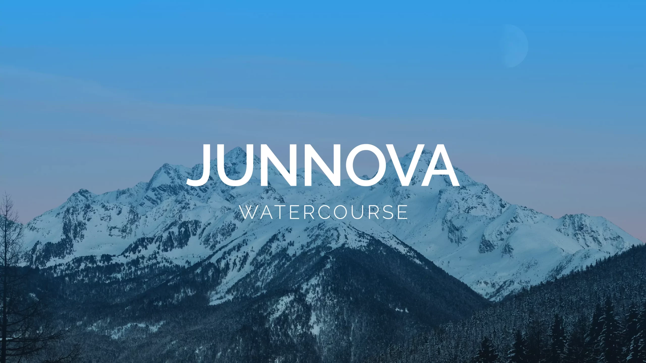 proyecto junnova branding